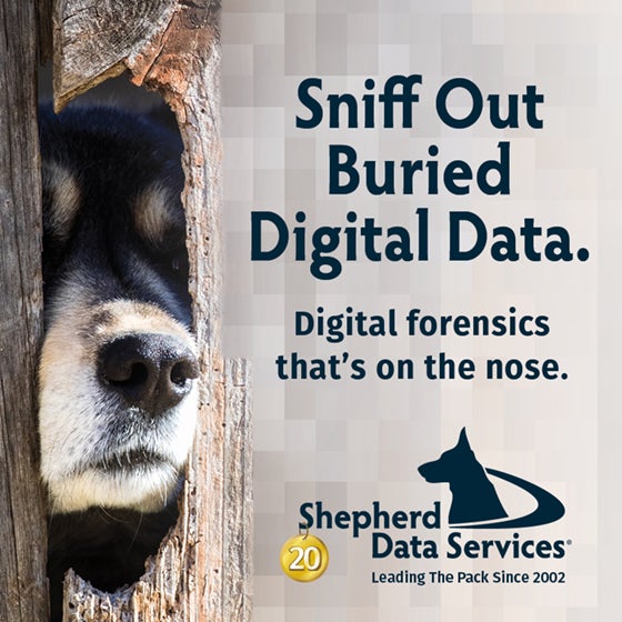 Shepherd Data Services banner ad