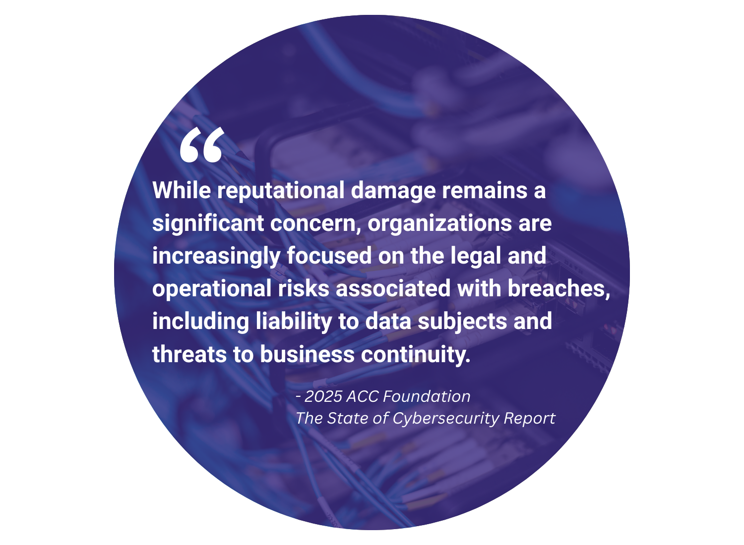 While reputational damage remains a significant concern, organizations are increasingly focused on the legal and operational risks associated with breaches, including liability to data subjects and threats to business continuity. 