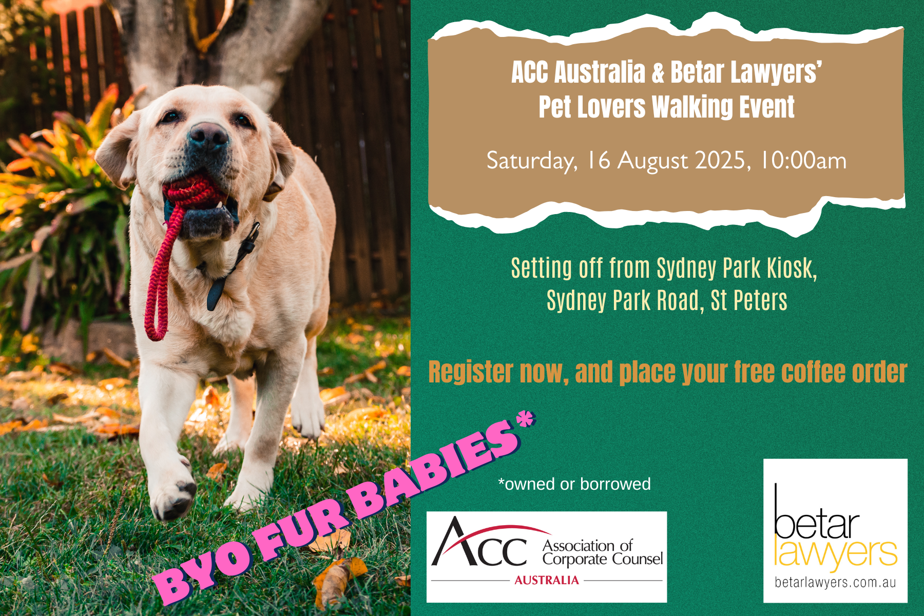 Betar 2025 Pet Walking